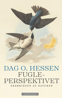 Fugleperspektivet av Dag O. Hessen (Innbundet)