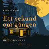 Ett sekund om gangen av Sofia Nordin (Nedlastbar lydbok)