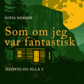 Som om jeg var fantastisk av Sofia Nordin (Nedlastbar lydbok)
