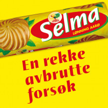En rekke avbrutte forsøk av Selma Lønning Aarø (Nedlastbar lydbok)