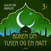 Boken om Tusen og en natt 3 av Flere (Nedlastbar lydbok)