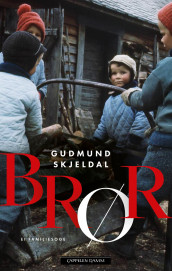 Brør av Gudmund Skjeldal (Ebok)