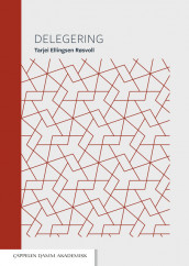 Delegering av Tarjei Ellingsen Røsvoll (Ebok)