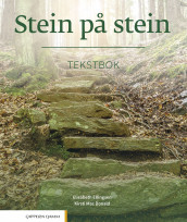 Stein på stein av Elisabeth Ellingsen og Kirsti Mac Donald (Heftet)