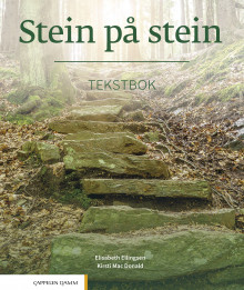 Stein på stein av Elisabeth Ellingsen og Kirsti Mac Donald (Heftet)