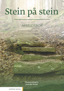 Stein på stein av Elisabeth Ellingsen og Kirsti Mac Donald (Heftet)