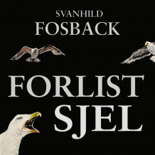 Forlist sjel av Svanhild Fosback (Nedlastbar lydbok)