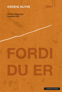 Fordi du er av Odveig Klyve (Heftet)