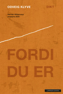 Fordi du er av Odveig Klyve (Heftet)