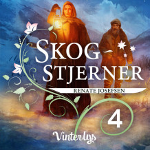 Vinterlys av Renate Josefsen (Nedlastbar lydbok)