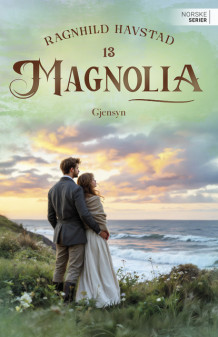 Gjensyn av Ragnhild Havstad (Ebok)