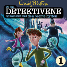De fem detektivene og mysteriet med den brente hytten av Enid Blyton (Nedlastbar lydbok)