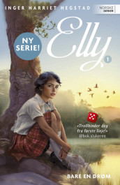 Bare en drøm av Inger Harriet Hegstad (Ebok)