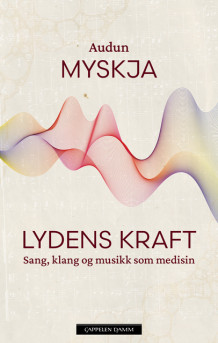 Lydens kraft av Audun Myskja (Ebok)