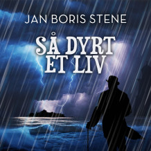 Så dyrt et liv av Jan Boris Stene (Nedlastbar lydbok)