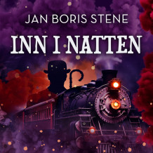Inn i natten av Jan Boris Stene (Nedlastbar lydbok)