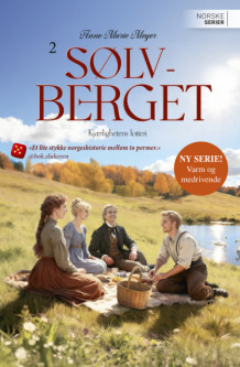 Kjærlighetens lotteri av Anne Marie Meyer (Heftet)