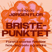 Bristepunktet - Forstå sterke følelser hos deg selv og andre av Jørgen Flor (Nedlastbar lydbok)