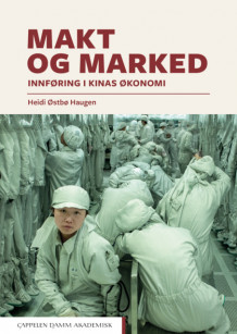Makt og marked av Heidi Østbø Haugen (Heftet)