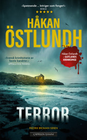 Terror av Håkan Östlundh (Ebok)
