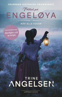 Når alle sover av Trine Angelsen (Heftet)