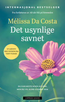 Det usynlige savnet av Mélissa Da Costa (Innbundet)