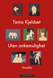 Uten ankemulighet av Tania Kjeldset (Innbundet)
