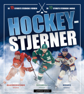 Hockeystjerner (Ebok)