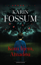 Kom hjem, Amadou av Karin Fossum (Heftet)