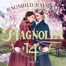 Anger av Ragnhild Havstad (Nedlastbar lydbok)