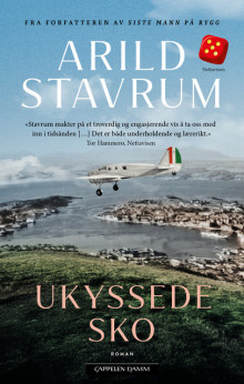 Ukyssede sko av Arild Stavrum (Heftet)