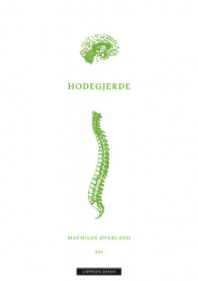 Hodegjerde av Mathilde Øverland (Ebok)