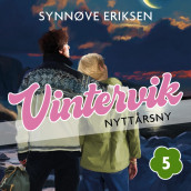 Nyttårsny av Synnøve Eriksen (Nedlastbar lydbok)