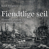 Fiendtlige seil av Knut Frognes (Nedlastbar lydbok)