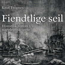 Fiendtlige seil av Knut Frognes (Nedlastbar lydbok)