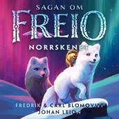 Nordlyset av Carl Blomqvist og Fredrik Blomqvist (Nedlastbar lydbok)