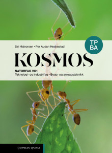 Kosmos TP BA (2026) av Siri Halvorsen og Per Audun Heskestad (Fleksibind)