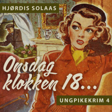 Onsdag klokken 18 av Hjørdis Solaas (Nedlastbar lydbok)