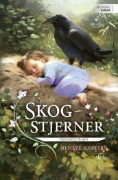 Fremmed barn av Renate Josefsen (Ebok)