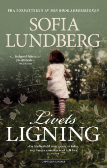 Livets ligning av Sofia Lundberg (Heftet)