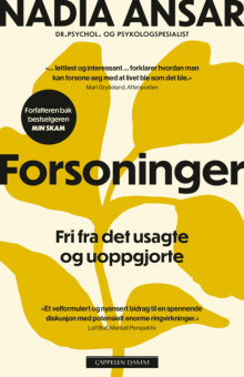 Forsoninger av Nadia Ansar (Heftet)