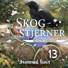 Fremmed barn av Renate Josefsen (Nedlastbar lydbok)
