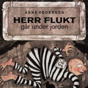 Herr Flukt går under jorden av Anne Pedersen (Nedlastbar lydbok)