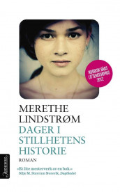 Dager i stillhetens historie av Merethe Lindstrøm (Ebok)