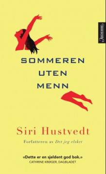 Sommeren uten menn av Siri Hustvedt (Heftet)