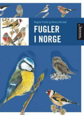 Fugler i Norge av Ragnar Frislid og Benny Génsbøl (Innbundet)
