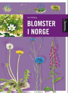 Blomster i Norge av Jon Feilberg (Innbundet)