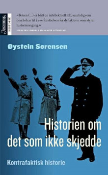Historien om det som ikke skjedde av Øystein Sørensen (Heftet)