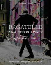 Bagatelle av Eyvind Hellstrøm (Innbundet)