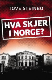 Hva skjer i Norge? av Tove Steinbo (Innbundet)